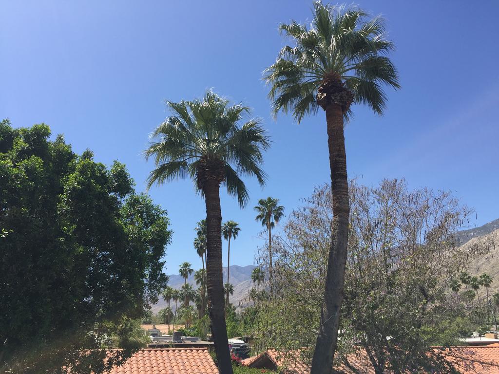 Warm Sands Villa Palm Springs Dış mekan fotoğraf
